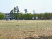 sports_week_2022
